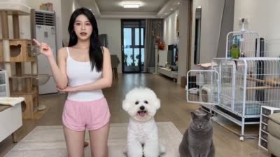宠物演员排练记：演员的自我修养爆笑短视频脚本