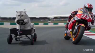 萌猫车手MotoGP赛道超车本田93号赛车